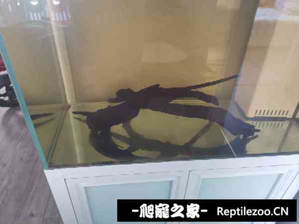 143304dn72l4hn4p2o22ch.jpg