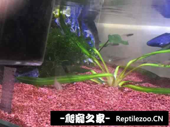 143609i7swwpw9ejs8vqsc.jpg