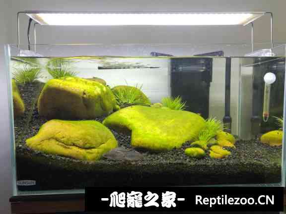 143733l9jmjpw5nm25m45m.jpg