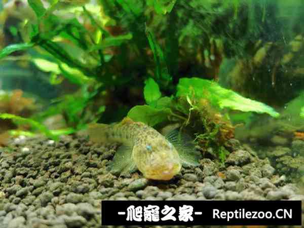 143801wm0l5bt6oxz26yqx.jpg