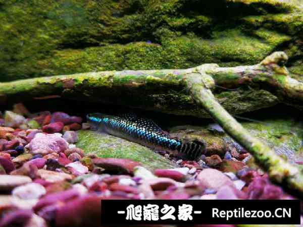 143917ucfkccfmv4efkc2m.jpg