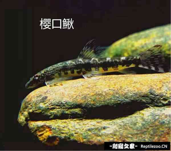 144037u88eqfb737hkdfb8.jpg