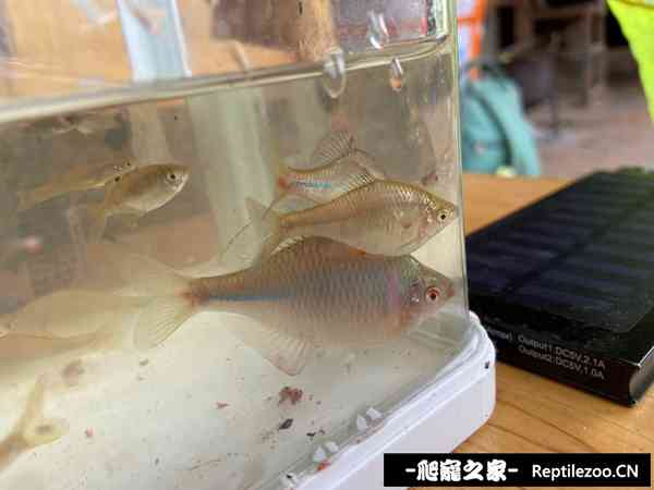 144103yono6po87so7z6zx.jpg