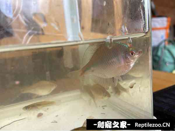 144105dkt3v2wttq2qetwt.jpg
