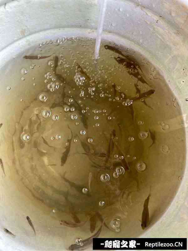 144109ahyqhwhobqbqhbhx.jpg