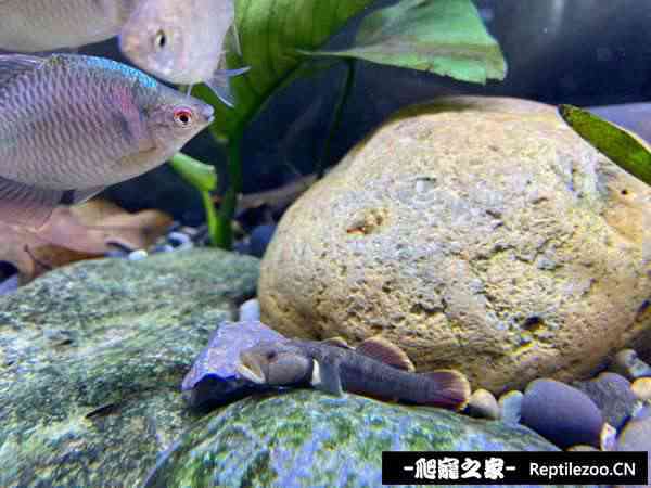 144228sl3625ezdi6a5dsd.jpg