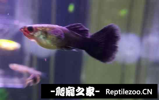 144401xwy66jwjx246kz22.jpg