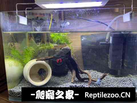 144409hs8dkw4l78sq8sqp.jpg