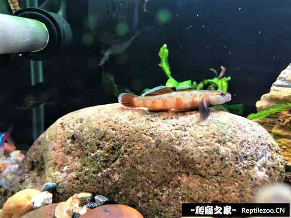 144510j7f505065f55xqxf.jpg