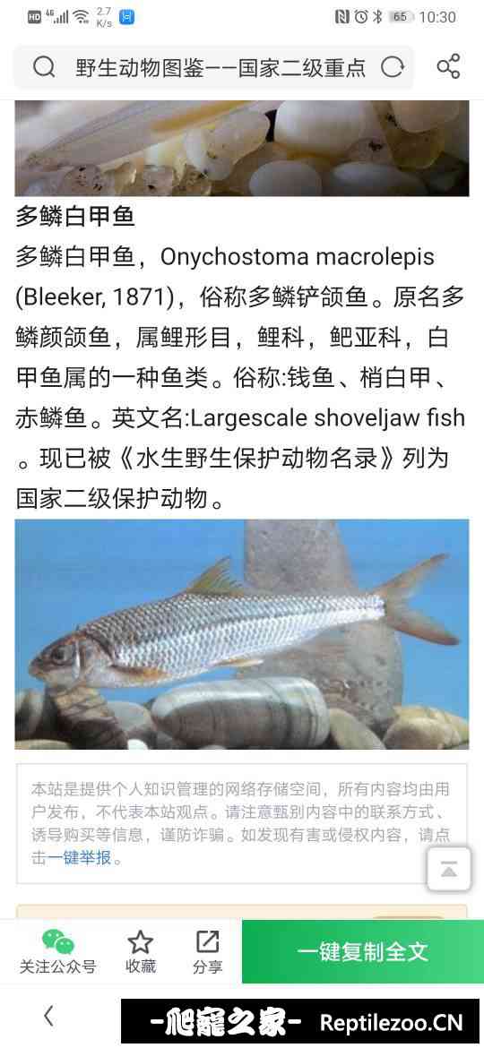 144645jivyytay1qq1aa0q.jpg
