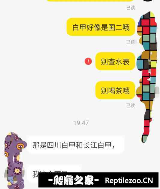 144645jjimsnfsapqq9n9c.jpg