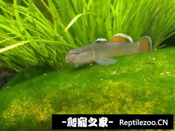 144727ziseo5f2xvdfsw5x.jpg