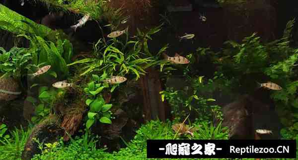 144802g6rj33u7rr261o1o.jpg