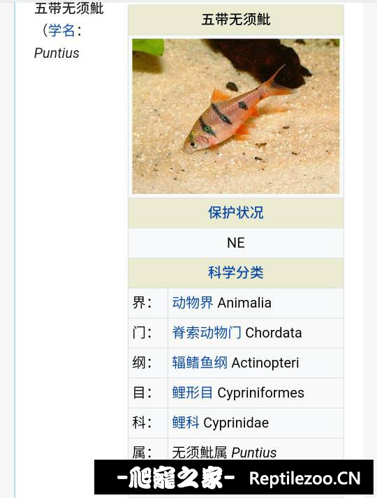 144803efmivv9oovdkdik9.png