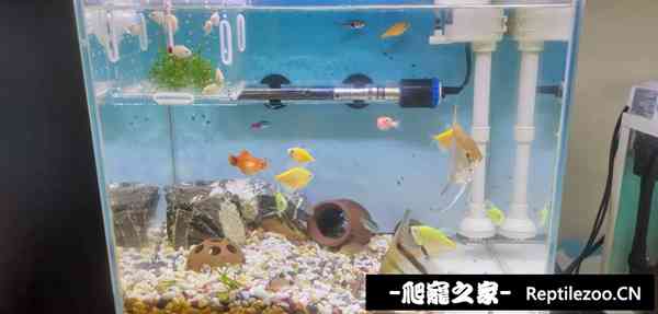 144852b11ev1viwlmzb7nj.jpg