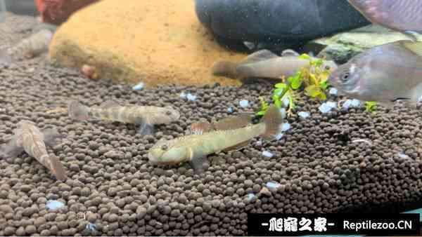 144900nk5pchor58o5zpki.jpg