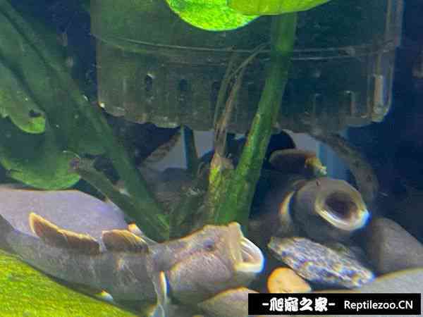 145009rlj985jl2a8y6iia.jpg