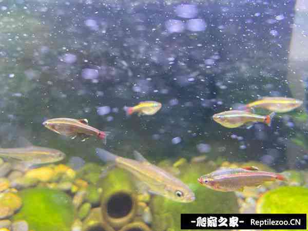 145105pioobjj9y6yoikaa.jpg