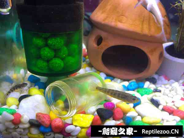 145108sqjgqghhbjp9opy7.jpg
