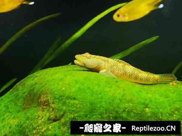 145128mrtjjtebeizoryv8.jpg