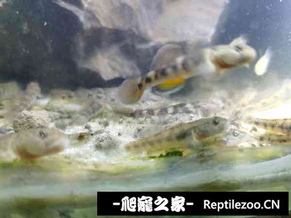 145139l5362c5hjhseytri.jpg