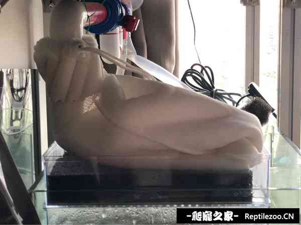 145200sz8qyrs645tlg6pw.jpg