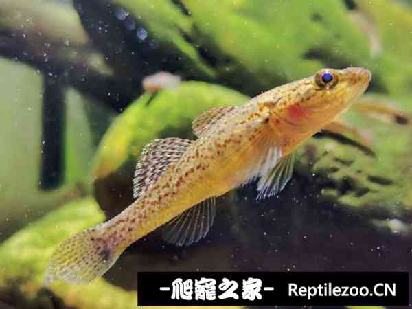145356e36nhnpj4cn3nfrh.jpg