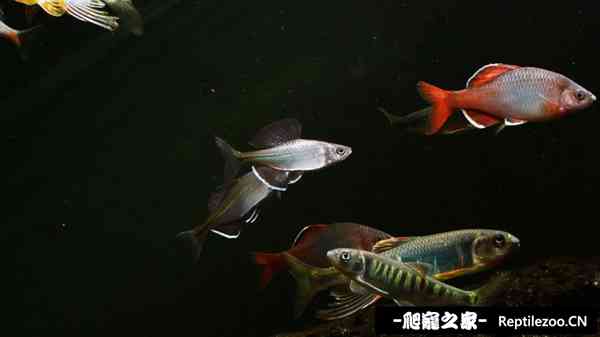 145402p348znfbhfbbp4dr.jpg