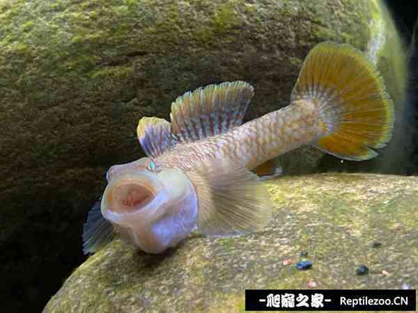 145507svcx1cxpqcpcj1jc.jpg