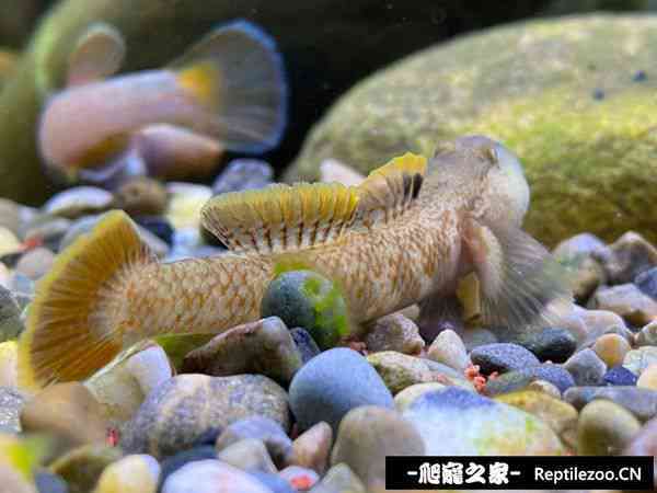 145508ujz4jyjwj8vx636j.jpg