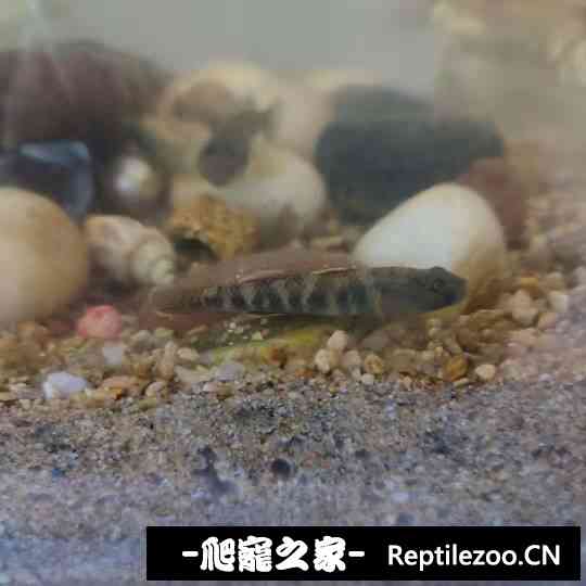 145517mu39zcmyqa3twyzu.jpg