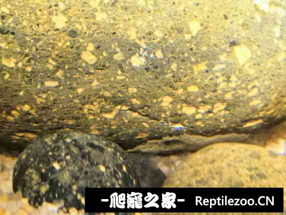 145523y2kj8g72tetjd00t.jpg