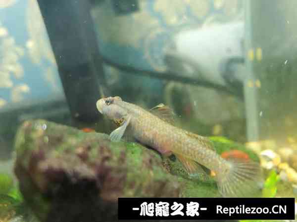 145529k0ce979mp2zte0n8.jpg