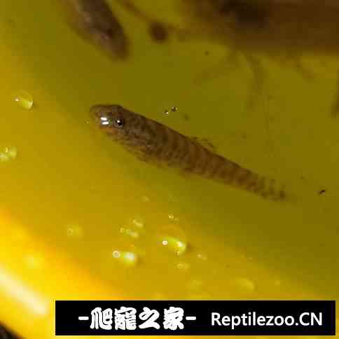 145647g97wz74d4zodyozy.jpg