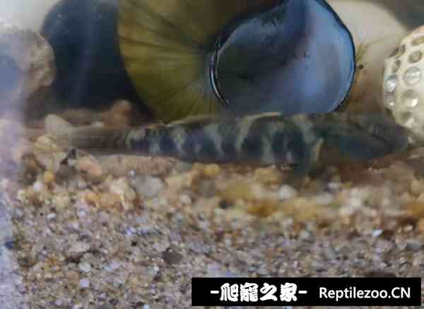145653s488h4u4uh5hrphw.jpg