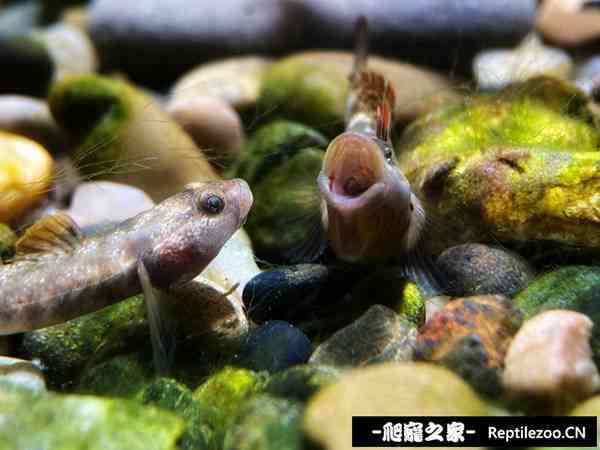 145744syfvxfbn9vbcgbmr.jpg