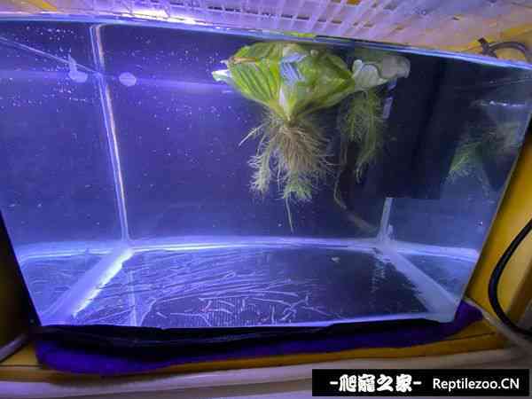145903lbtyqv494w616bqs.jpg