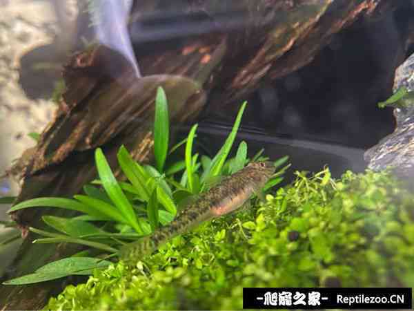145913j1xygaxhu6ihm953.jpg