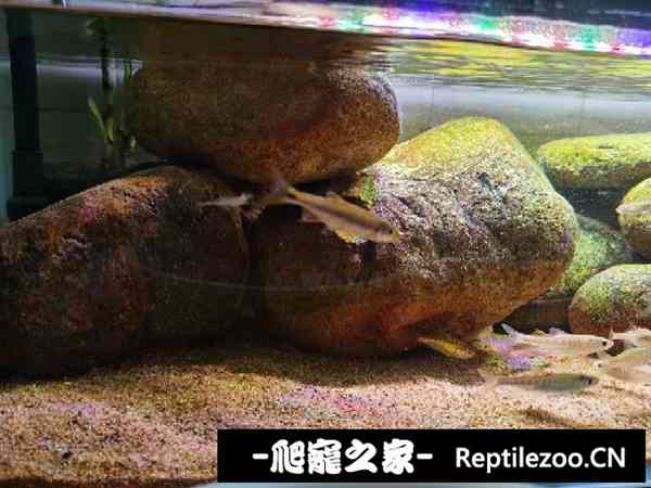 145942iycazfdxphp9fy49.jpg