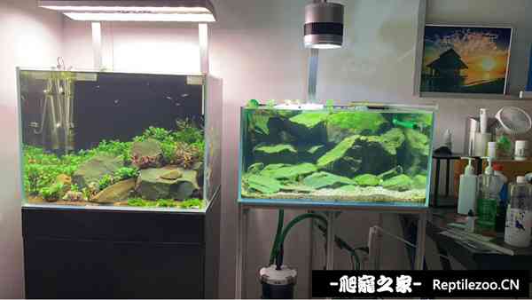 150049ehxddwtt2d8zpbmb.jpg