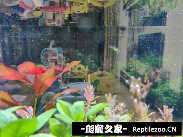 150131mr2tttg852zbihfm.jpg