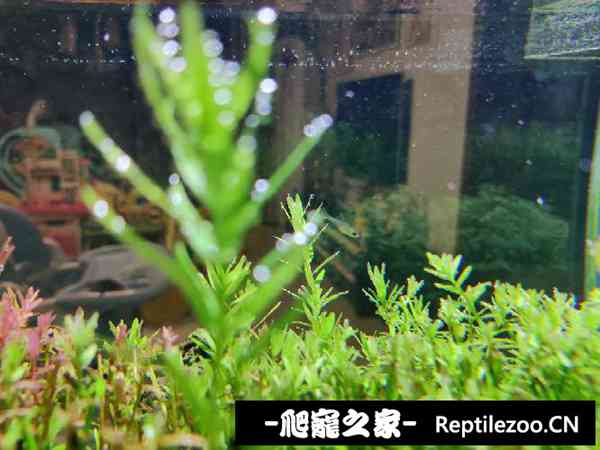 150131zn7np0l77ung0gl7.jpg