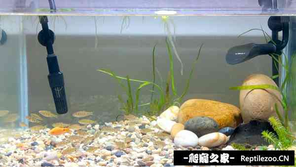 150207qdoo22b3wixxqiok.jpg