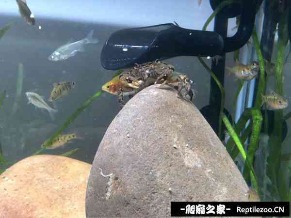 150256bbpxypbb0bfkwiby.jpg