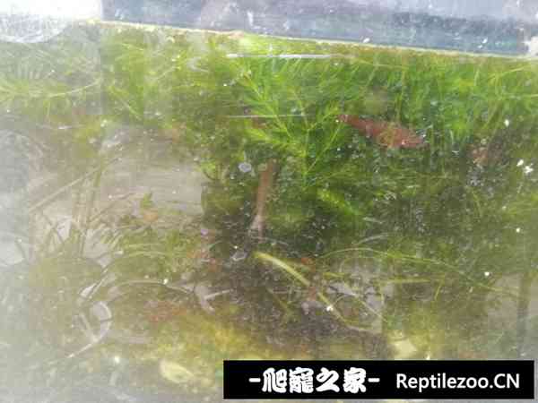 150323bdhhmqmr77zumtcz.jpg