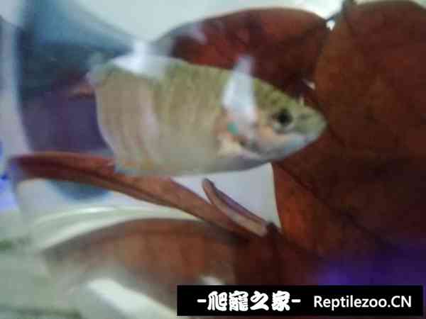 150347ako8ni1mhcma81kw.jpg