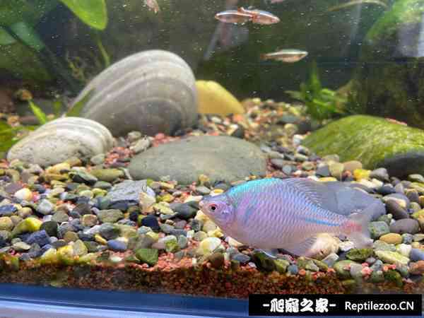 150423dnww63amzat8v6u6.jpg