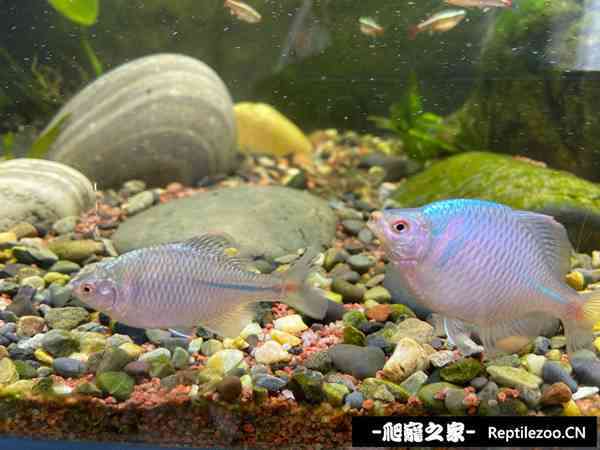 150426ous0gk82uws2wuku.jpg