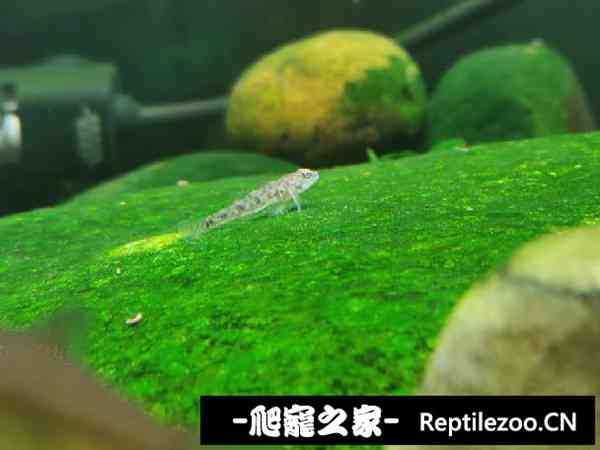 150449qpbb4pzbxccbzobw.jpg