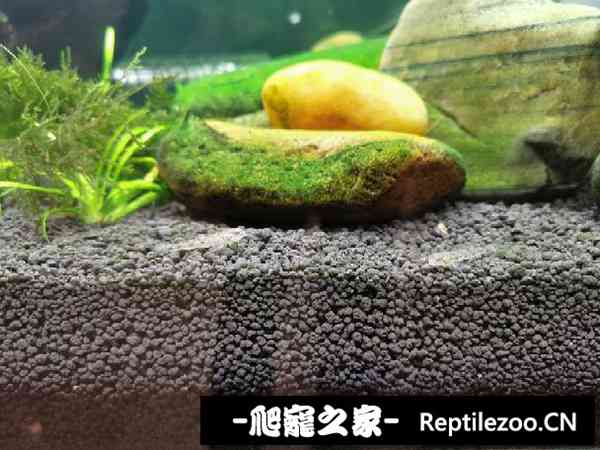 150449zpi0yo0pikga0pdo.jpg